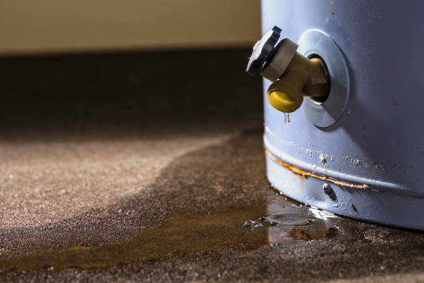 Best Fire Damage Restoration  in Oakland Park, FL