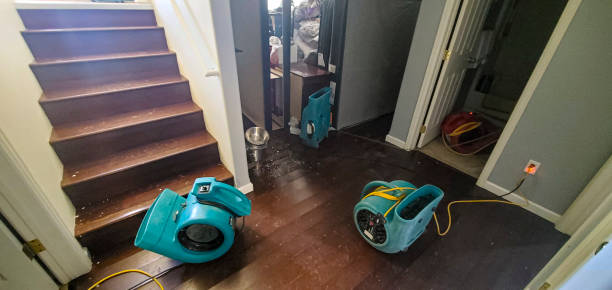 Best Flood restoration services  in Oakland Park, FL
