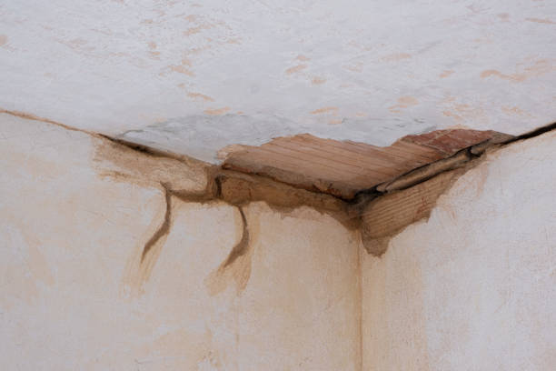 Best Sewage cleanup and water damage restoration  in Oakland Park, FL