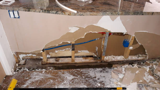 Best Water damage restoration near me  in Oakland Park, FL