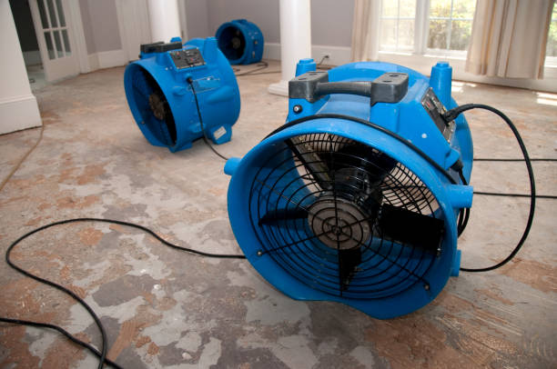 Sewage cleanup and water damage restoration in Oakland Park, FL