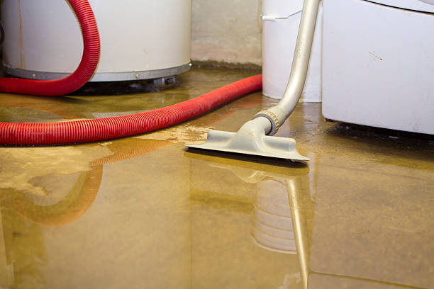 Best Flood damage cleanup  in Oakland Park, FL