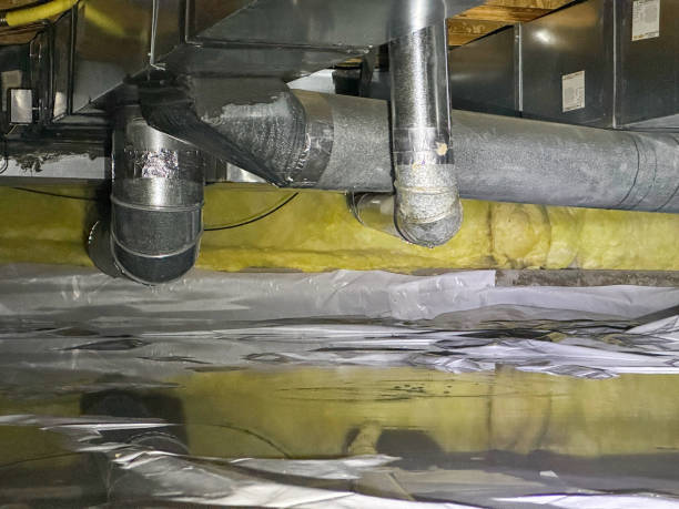 Best Ceiling water damage repair  in Oakland Park, FL