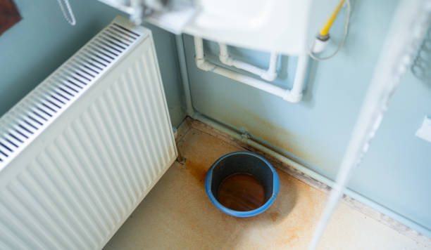 Best Water damage restoration mold remediation  in Oakland Park, FL
