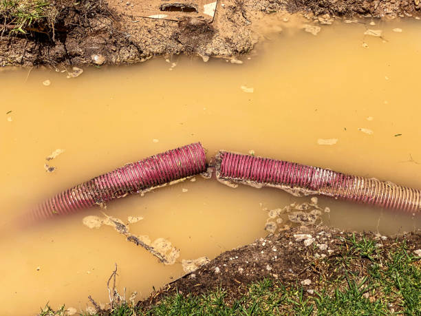 Oakland Park, FL Water damage restoration Company