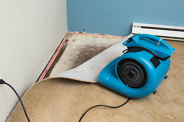 Best Residential water damage restoration  in Oakland Park, FL